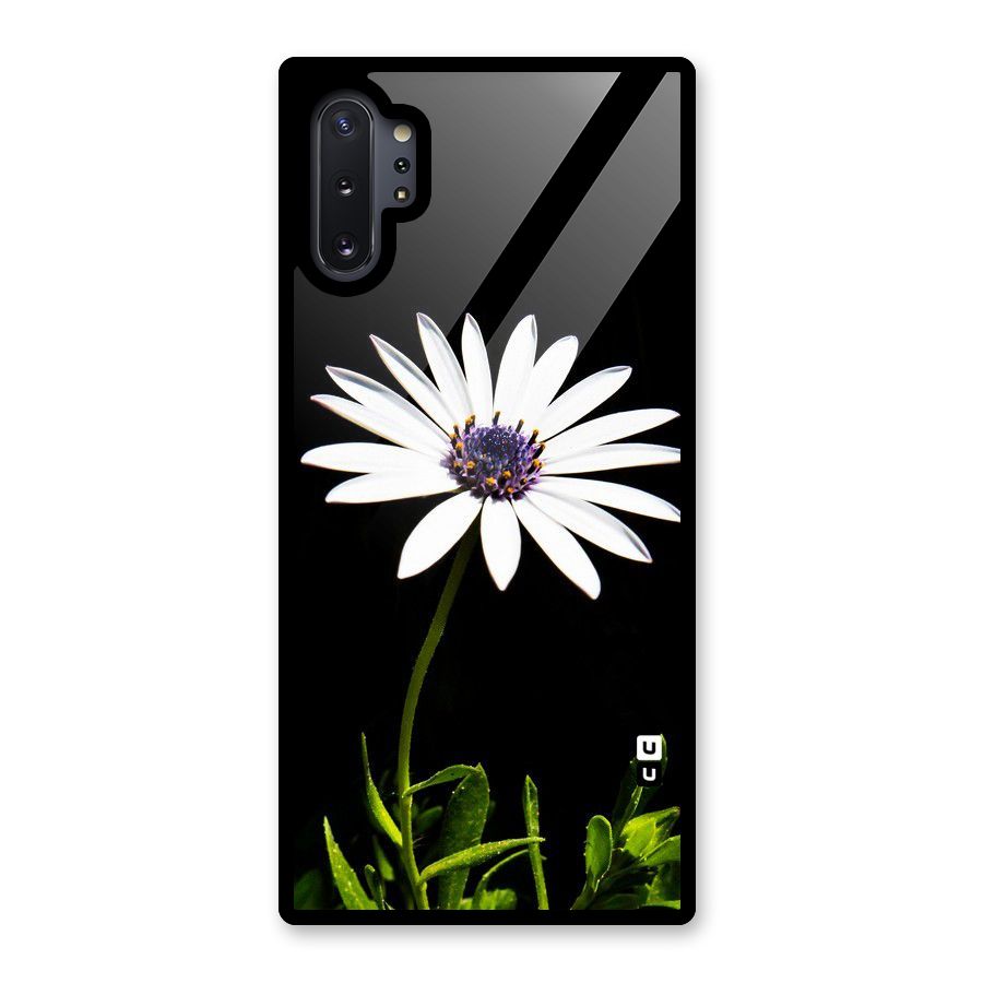 Flower White Spring Glass Back Case for Galaxy Note 10 Plus