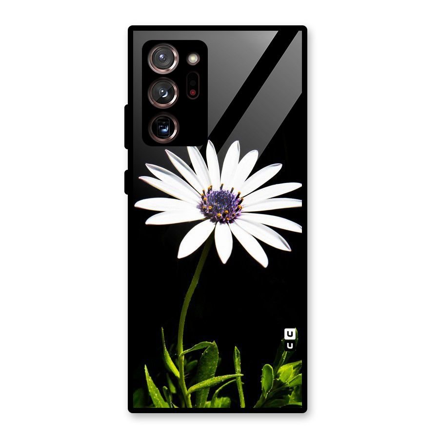 Flower White Spring Glass Back Case for Galaxy Note 20 Ultra