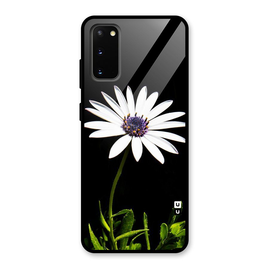 Flower White Spring Glass Back Case for Galaxy S20