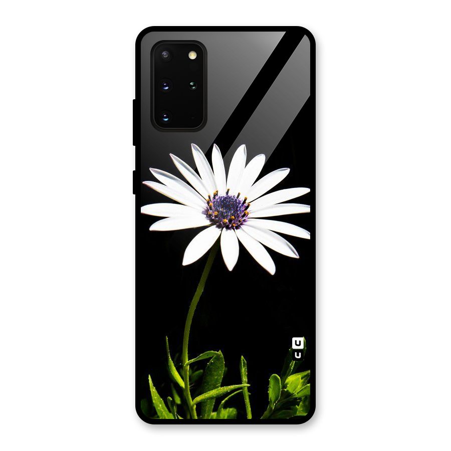 Flower White Spring Glass Back Case for Galaxy S20 Plus