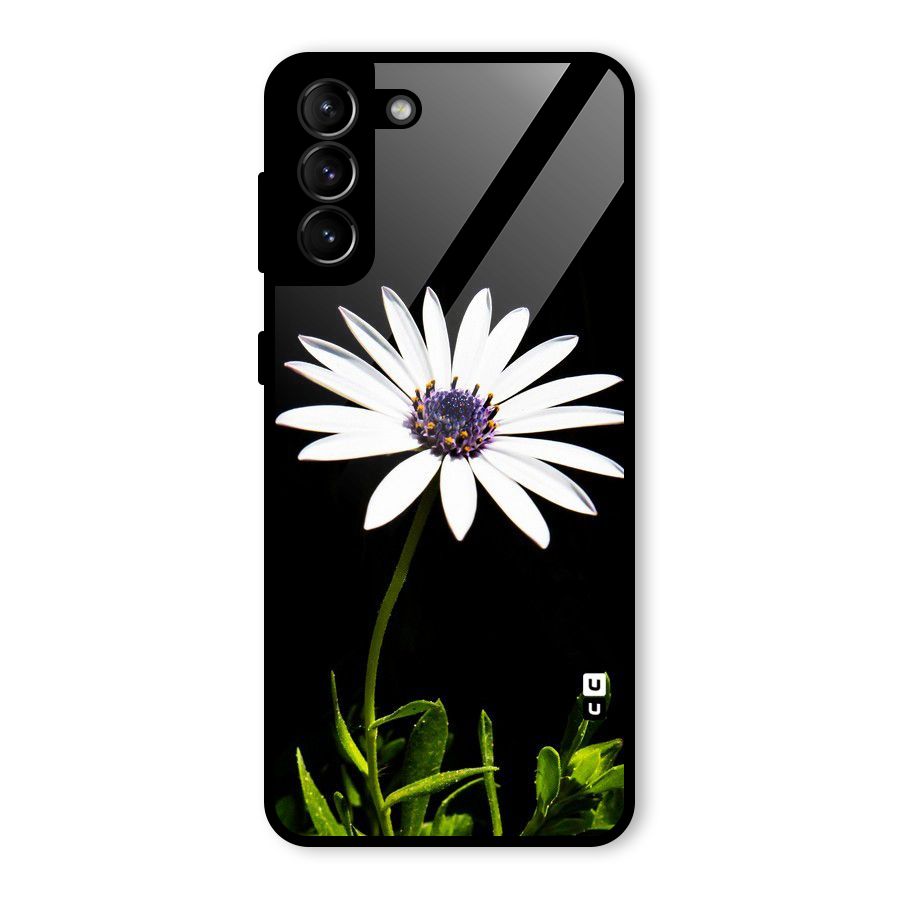 Flower White Spring Glass Back Case for Galaxy S21 Plus