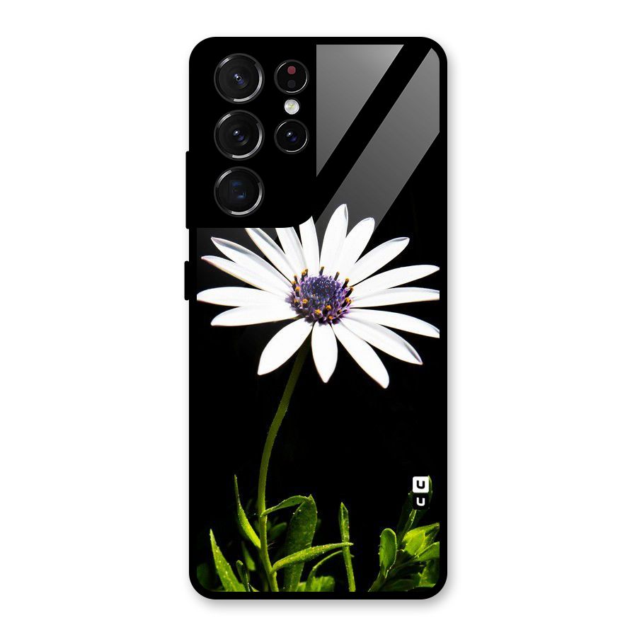 Flower White Spring Glass Back Case for Galaxy S21 Ultra 5G