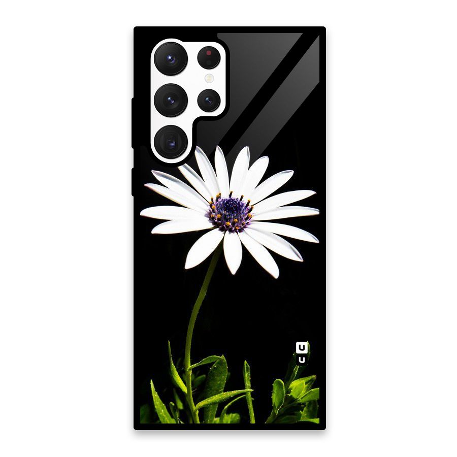 Flower White Spring Glass Back Case for Galaxy S22 Ultra 5G