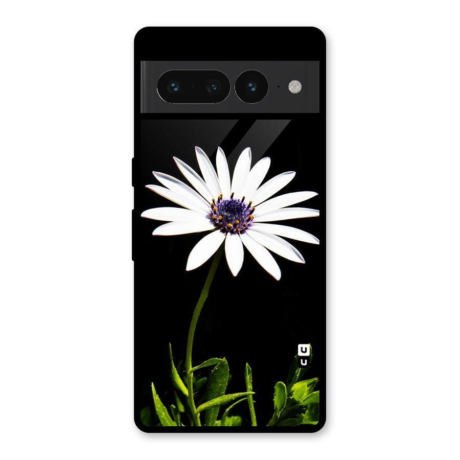 Flower White Spring Glass Back Case for Google Pixel 7 Pro