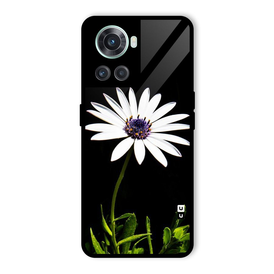 Flower White Spring Glass Back Case for OnePlus 10R