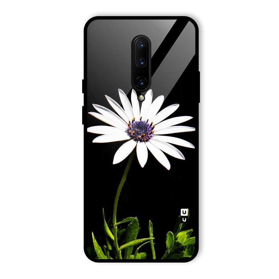 Flower White Spring Glass Back Case for OnePlus 7 Pro