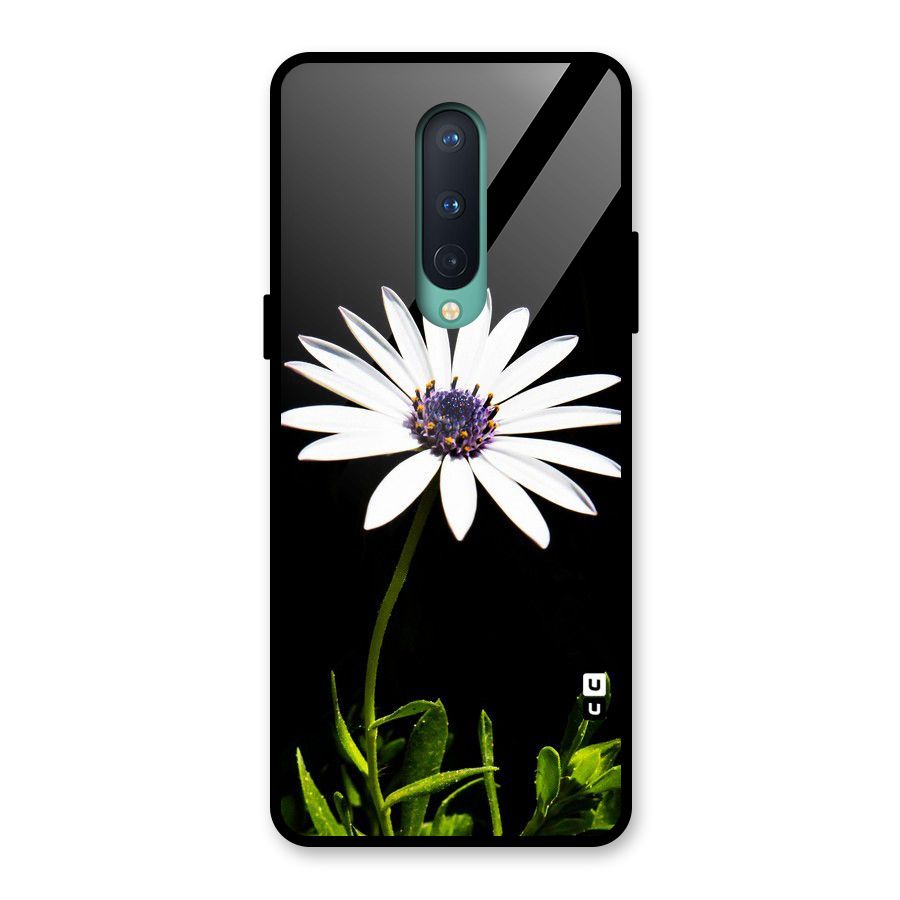 Flower White Spring Glass Back Case for OnePlus 8