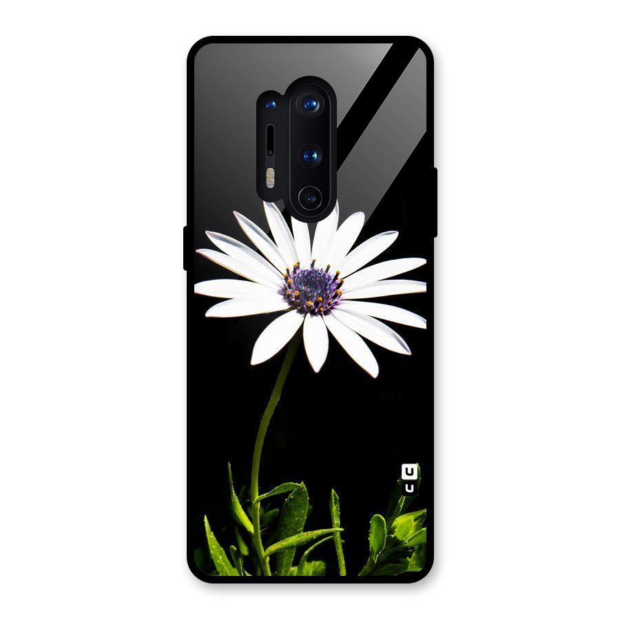 Flower White Spring Glass Back Case for OnePlus 8 Pro