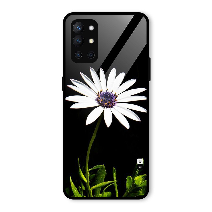 Flower White Spring Glass Back Case for OnePlus 9R