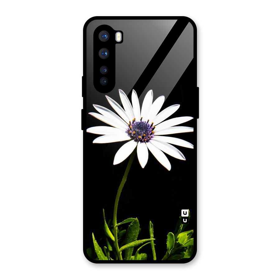 Flower White Spring Glass Back Case for OnePlus Nord