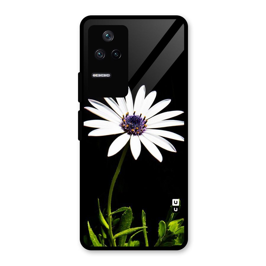 Flower White Spring Glass Back Case for Poco F4 5G