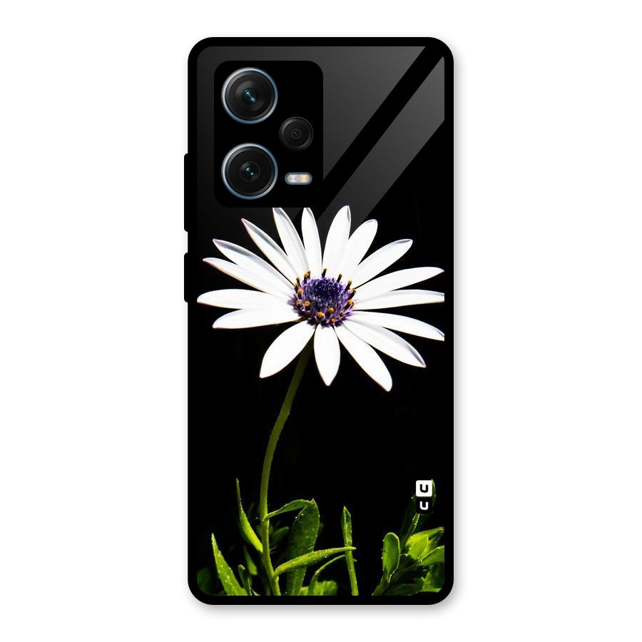 Flower White Spring Glass Back Case for Redmi Note 12 Pro Plus 5G
