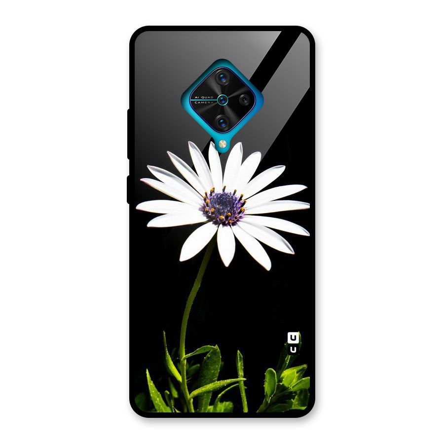 Flower White Spring Glass Back Case for Vivo S1 Pro