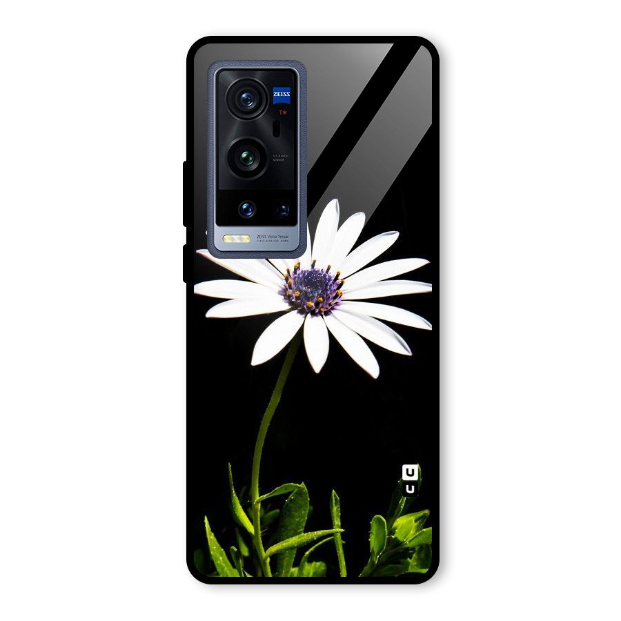 Flower White Spring Glass Back Case for Vivo X60 Pro Plus