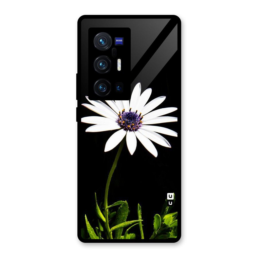 Flower White Spring Glass Back Case for Vivo X70 Pro Plus