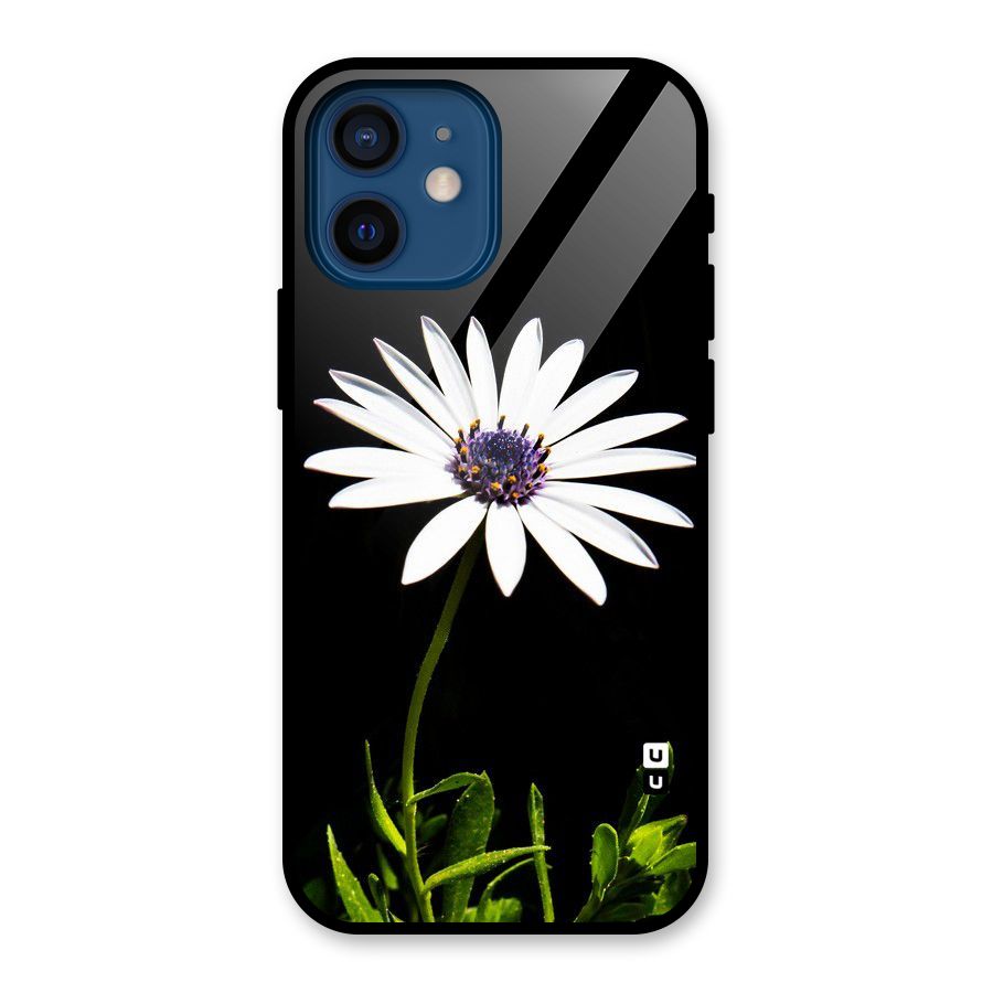 Flower White Spring Glass Back Case for iPhone 12 Mini