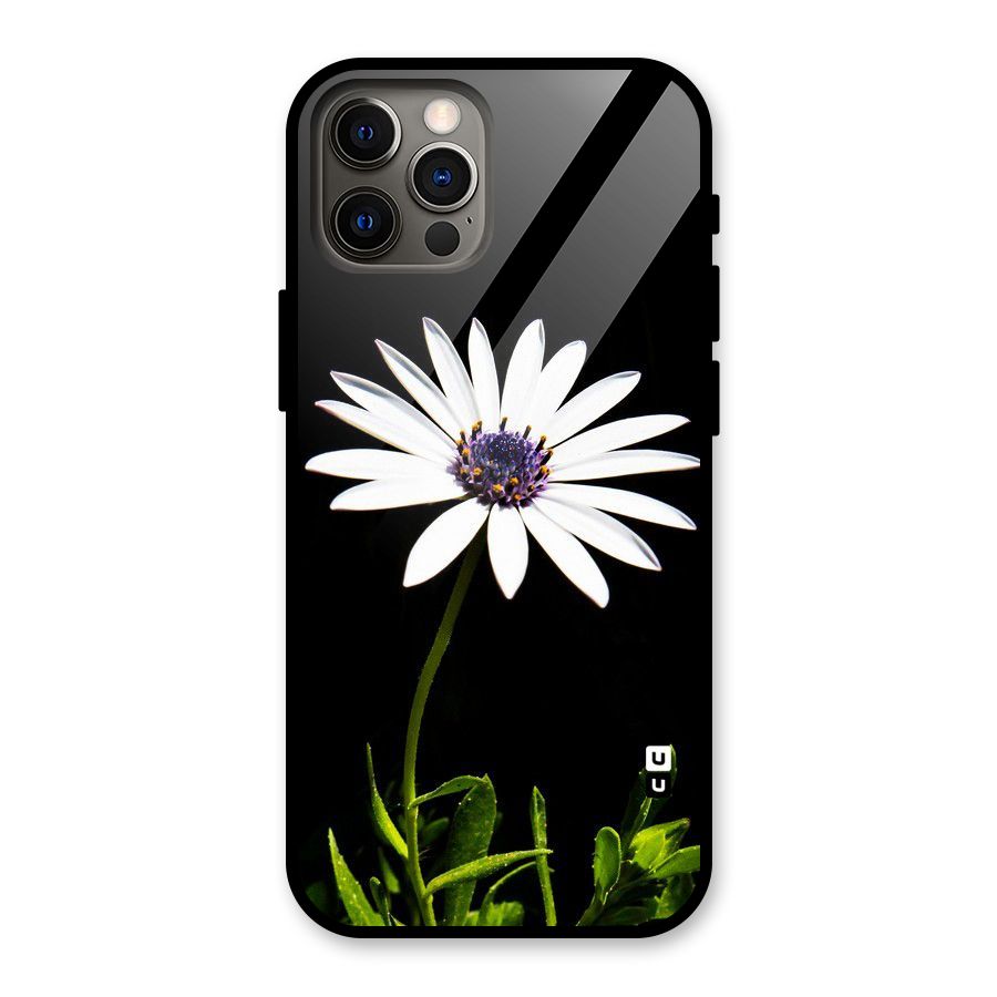 Flower White Spring Glass Back Case for iPhone 12 Pro