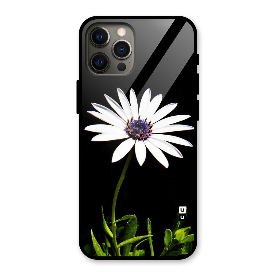 Flower White Spring Glass Back Case for iPhone 12 Pro Max