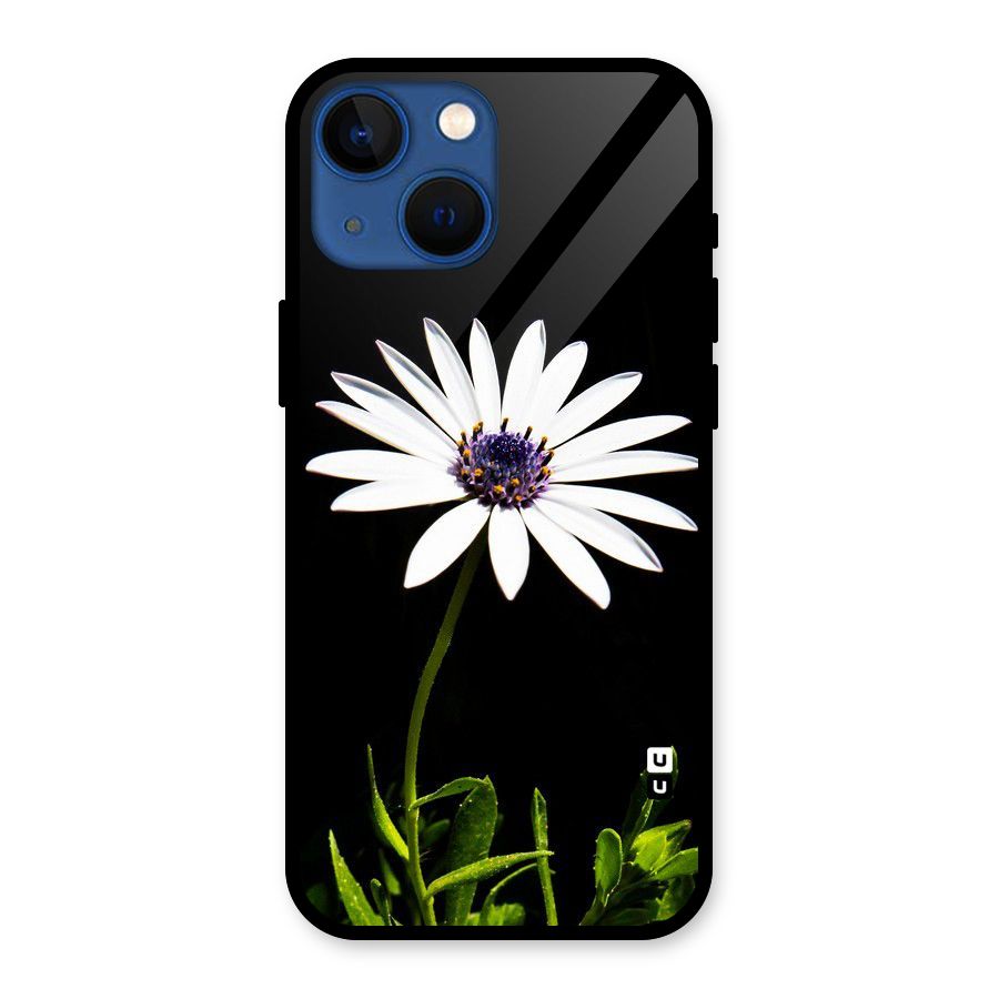 Flower White Spring Glass Back Case for iPhone 13 Mini