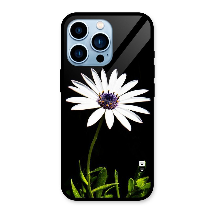 Flower White Spring Glass Back Case for iPhone 13 Pro