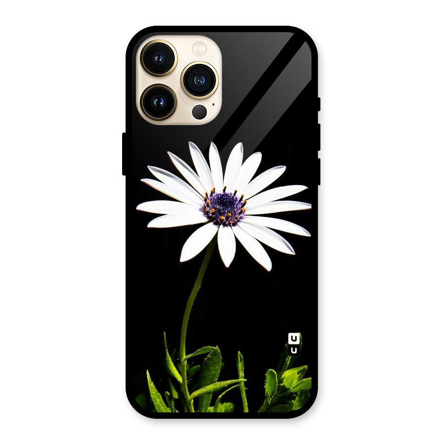 Flower White Spring Glass Back Case for iPhone 13 Pro Max