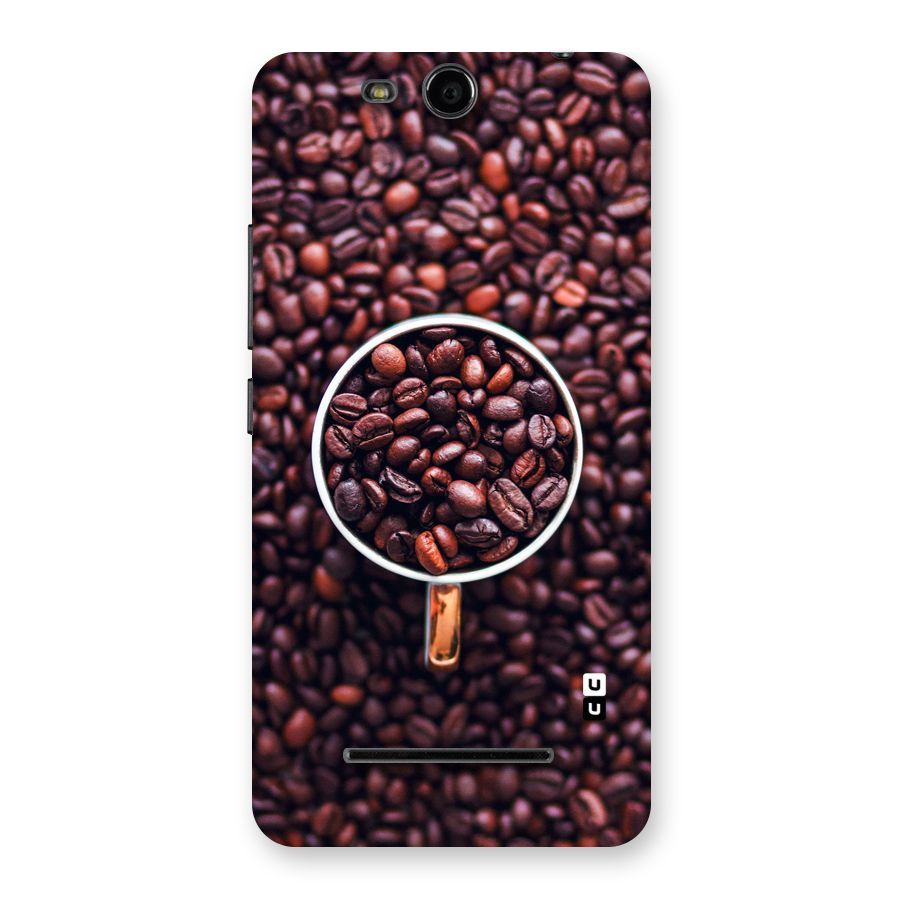 Focus Coffee Beans Back Case for Micromax Canvas Juice 3 Q392