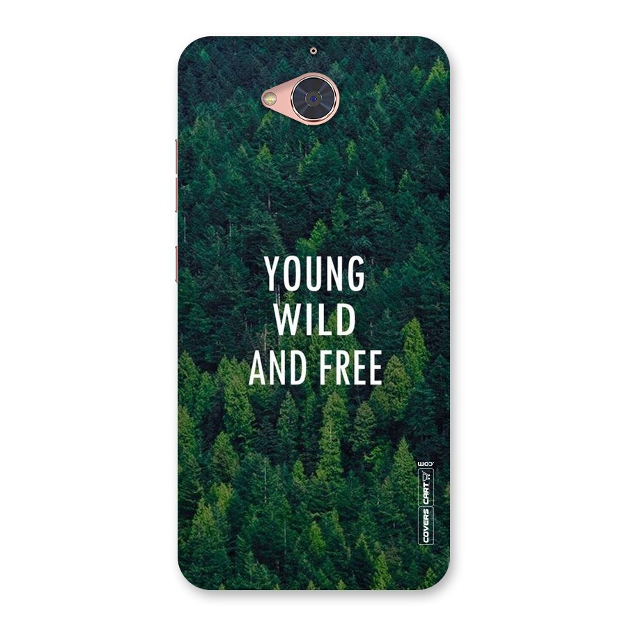 Forest Wanderlust Back Case for Gionee S6 Pro