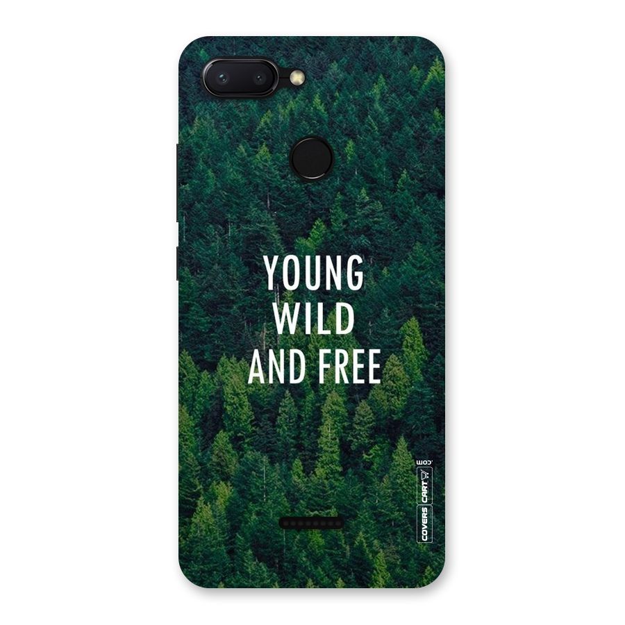 Forest Wanderlust Back Case for Redmi 6