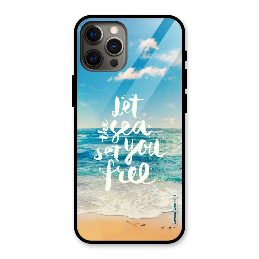 Free Sea Glass Back Case for iPhone 12 Pro Max