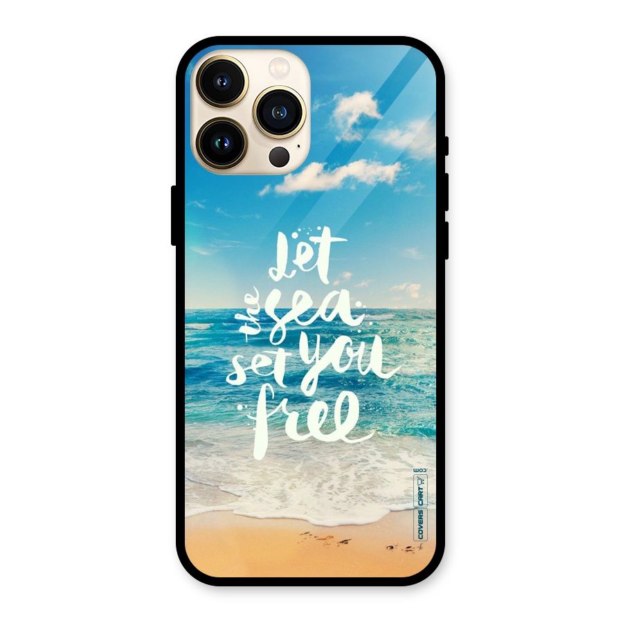 Free Sea Glass Back Case for iPhone 13 Pro Max