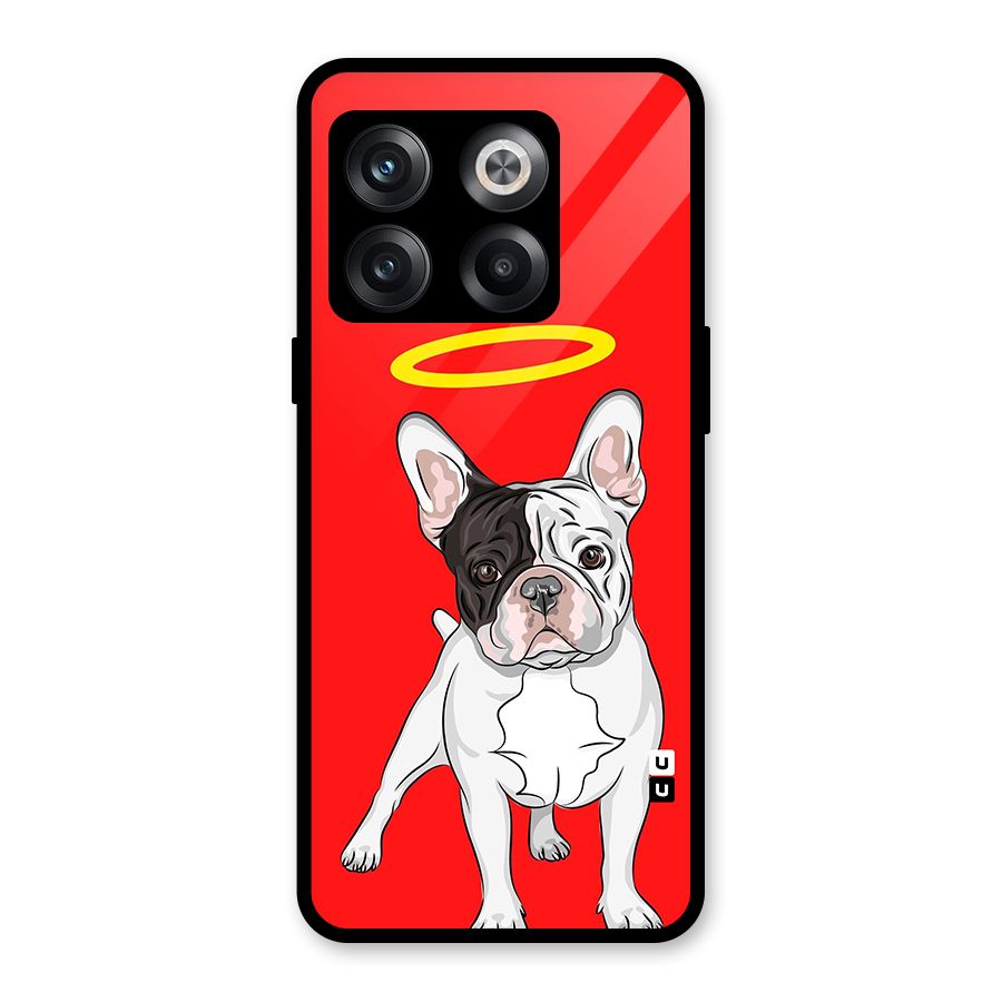 French Cute Angel Doggo Glass Back Case for OnePlus 10T
