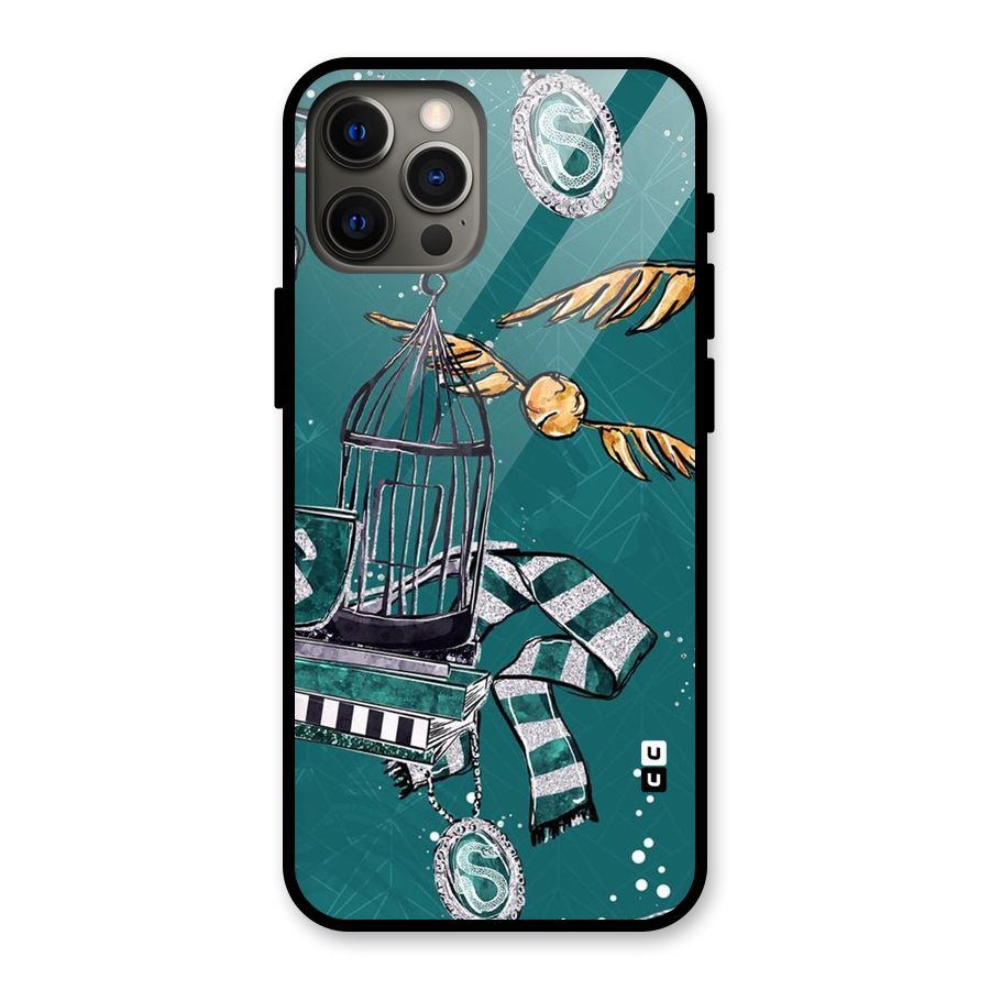 Green Scarf Glass Back Case for iPhone 12 Pro Max