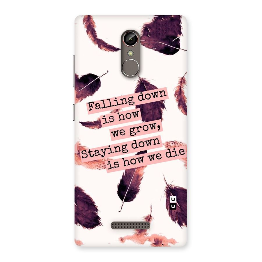 Grow Back Case for Gionee S6s