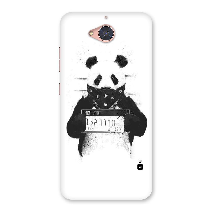 Guilty Panda Back Case for Gionee S6 Pro