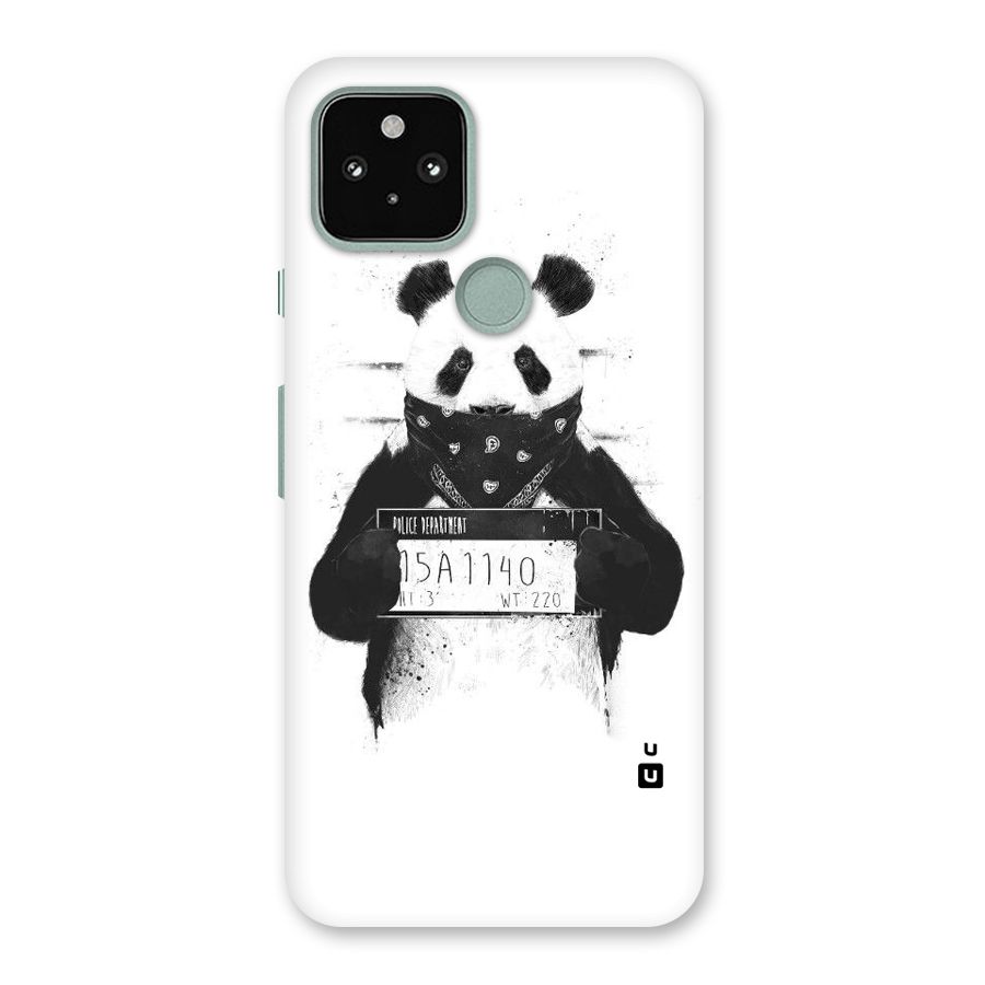 Guilty Panda Back Case for Google Pixel 5