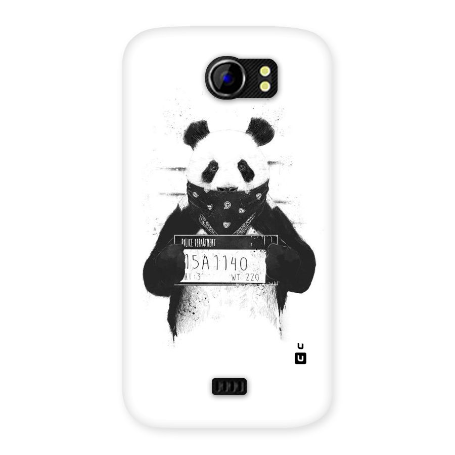 Guilty Panda Back Case for Micromax Canvas 2 A110