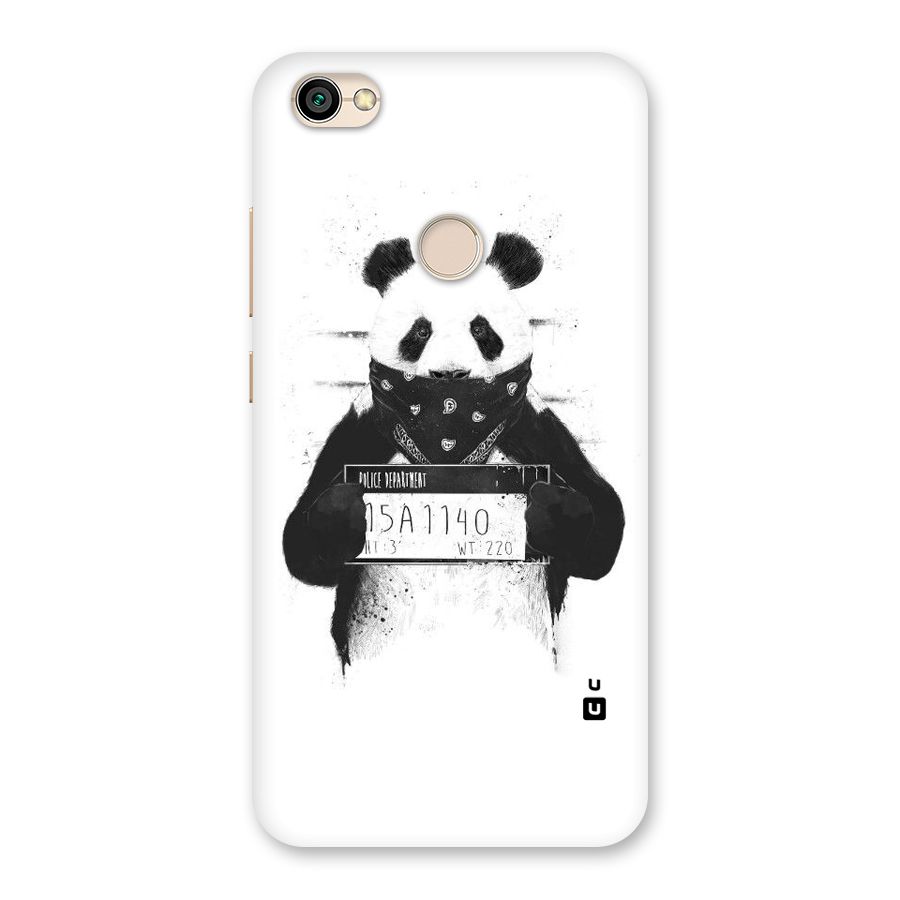 Guilty Panda Back Case for Redmi Y1 2017