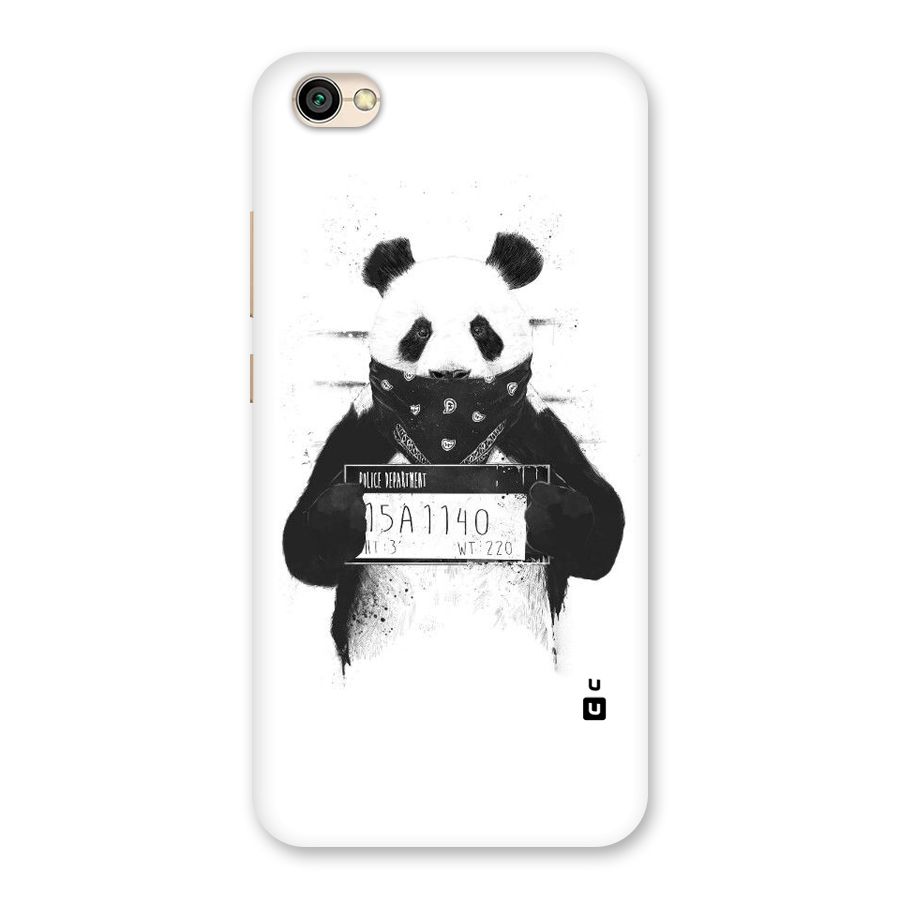 Guilty Panda Back Case for Redmi Y1 Lite