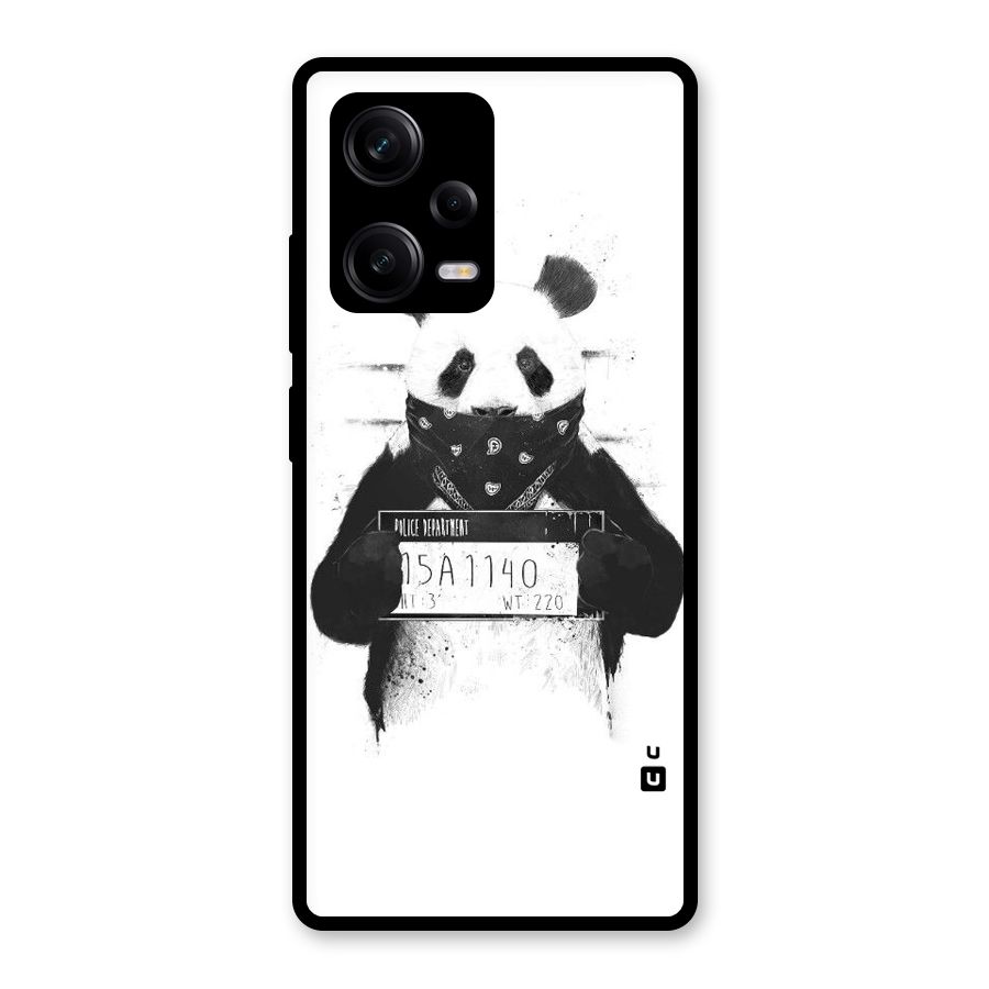 Guilty Panda Glass Back Case for Redmi Note 12 Pro