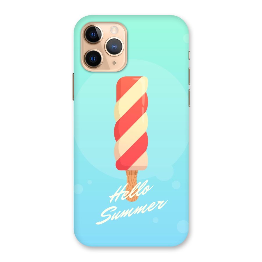 Hello Summer Back Case for iPhone 11 Pro