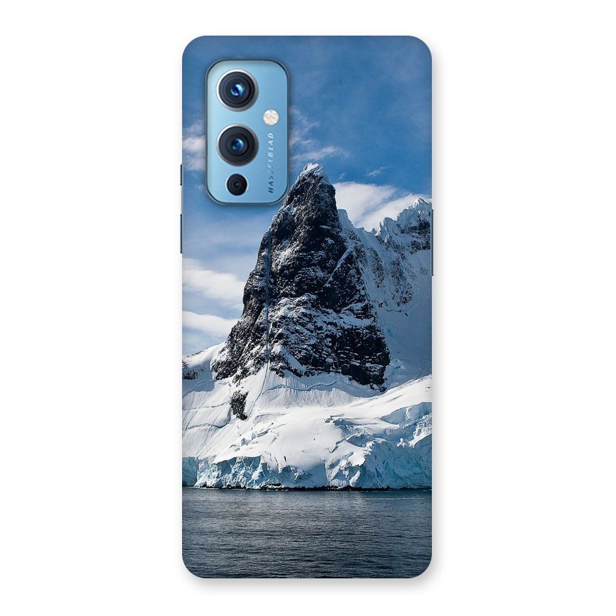Ice Mountains Back Case for OnePlus 9