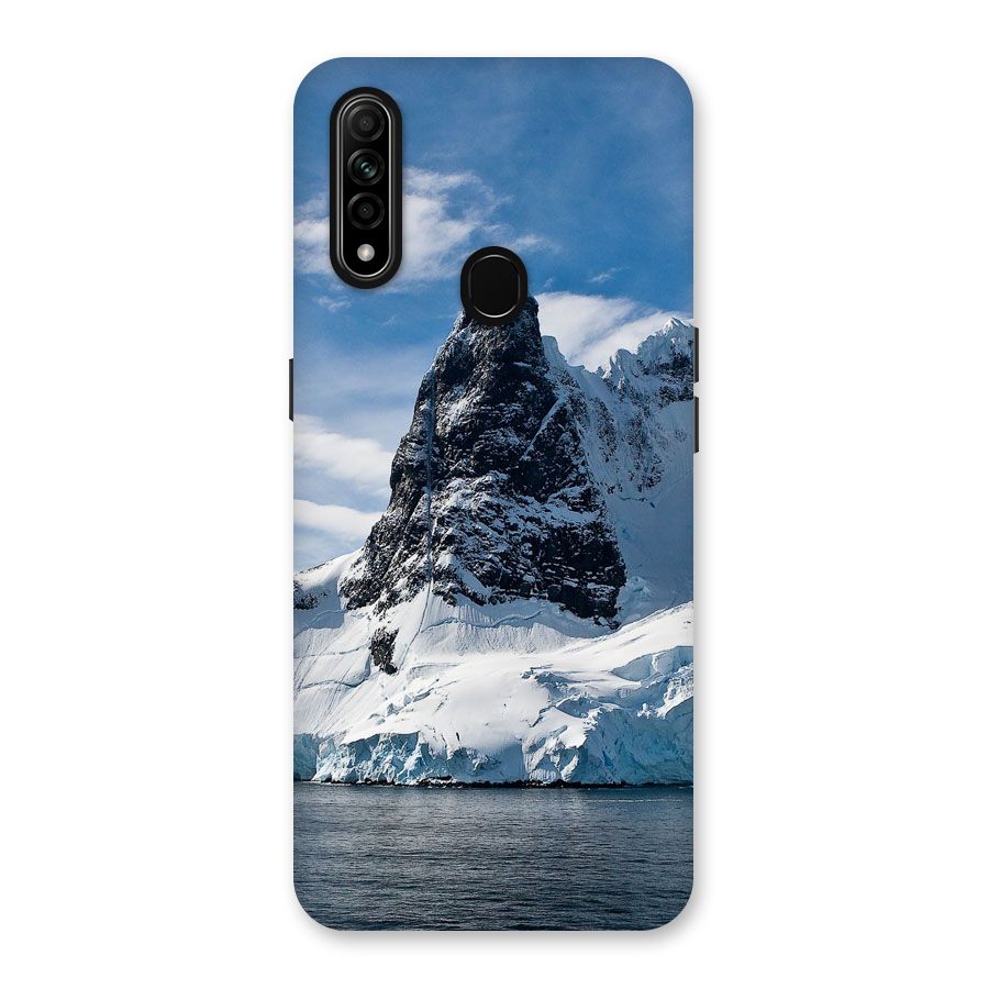 Ice Mountains Back Case for Oppo A31