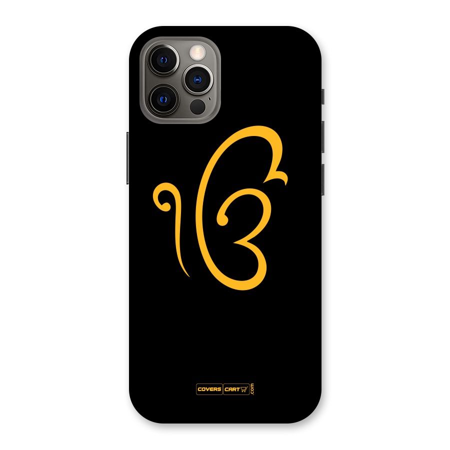 Ik Onkar Back Case for iPhone 12 Pro