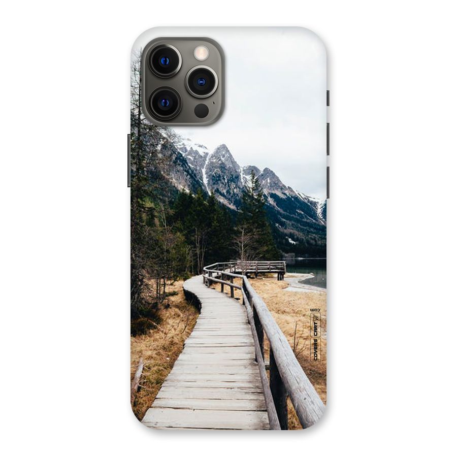 Just Wander Back Case for iPhone 12 Pro Max