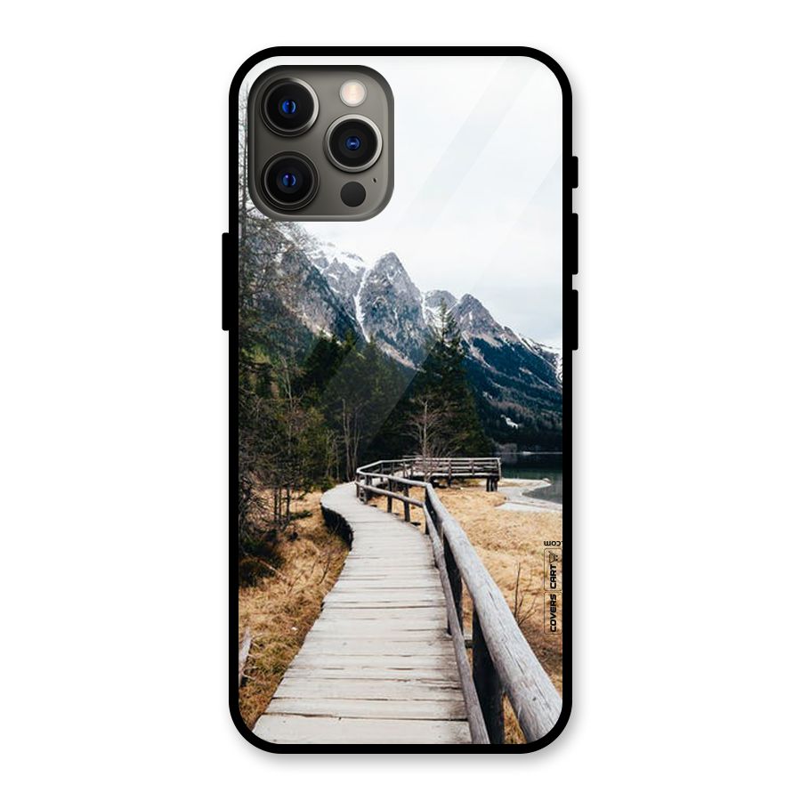 Just Wander Glass Back Case for iPhone 12 Pro Max