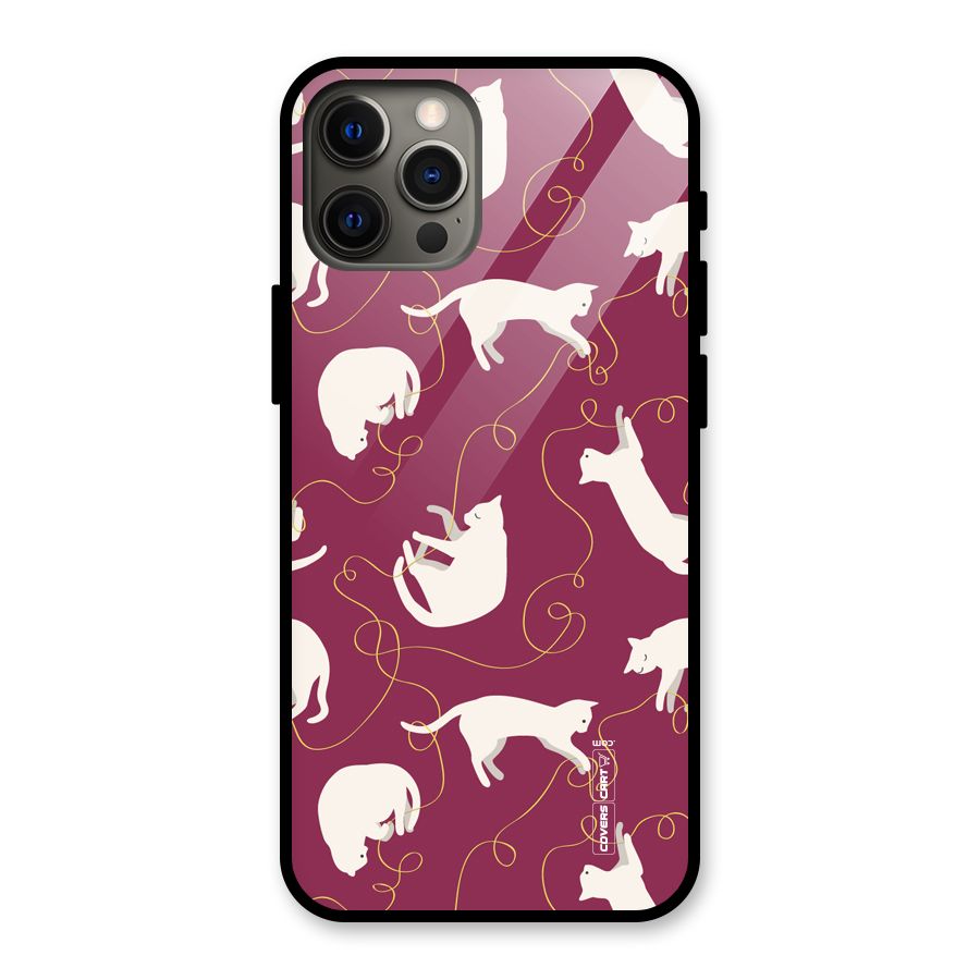 Lazy Kitty Glass Back Case for iPhone 12 Pro Max