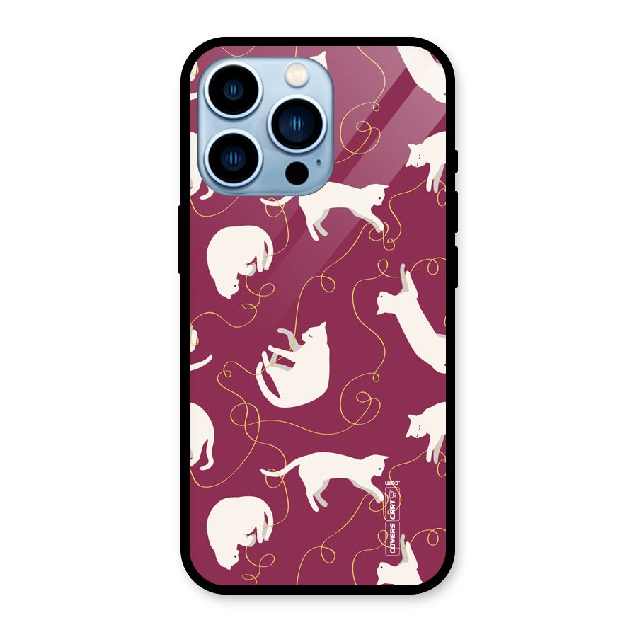 Lazy Kitty Glass Back Case for iPhone 13 Pro