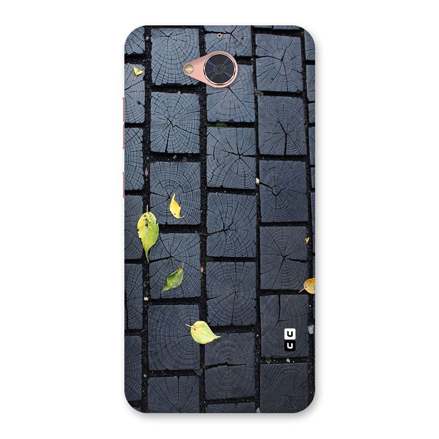 Leaf On Floor Back Case for Gionee S6 Pro