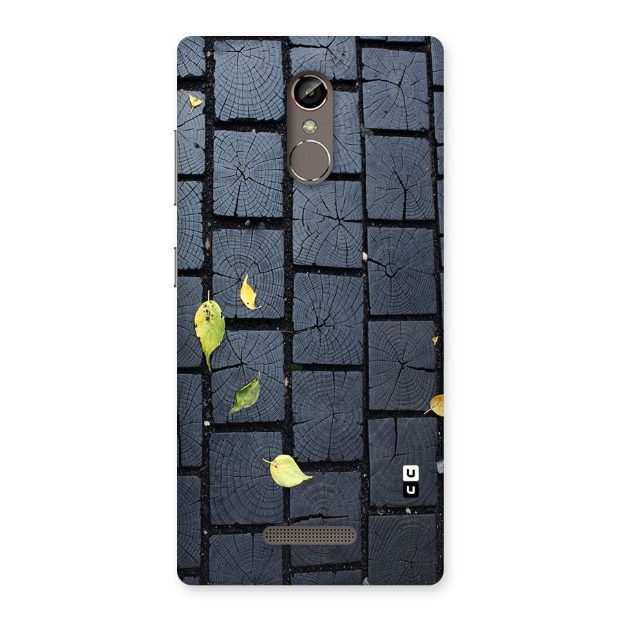 Leaf On Floor Back Case for Gionee S6s