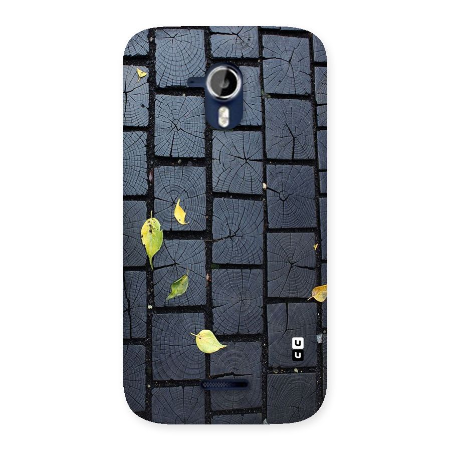 Leaf On Floor Back Case for Micromax Canvas Magnus A117